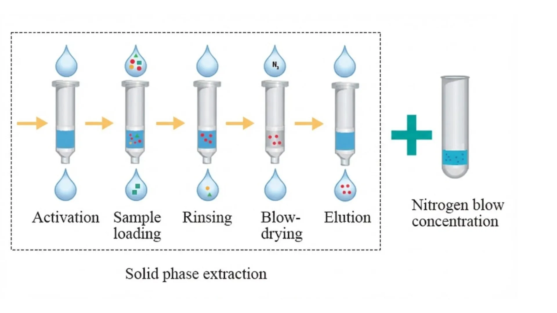 Automated Solid Phase Extraction (SPE) and Evaporation System – ToronSPE™ Eva Series