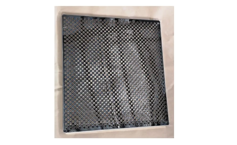 Advanced Temperature Humidity Incubator — ToronCubator™ FH-X