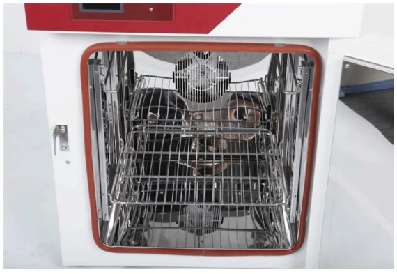Hot Air Sterilizer - ToronHAS™ Series