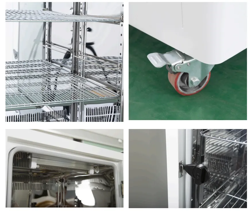 Performance Mould Incubator (with UV Sterilization) — ToronCubator™ MI-P Series