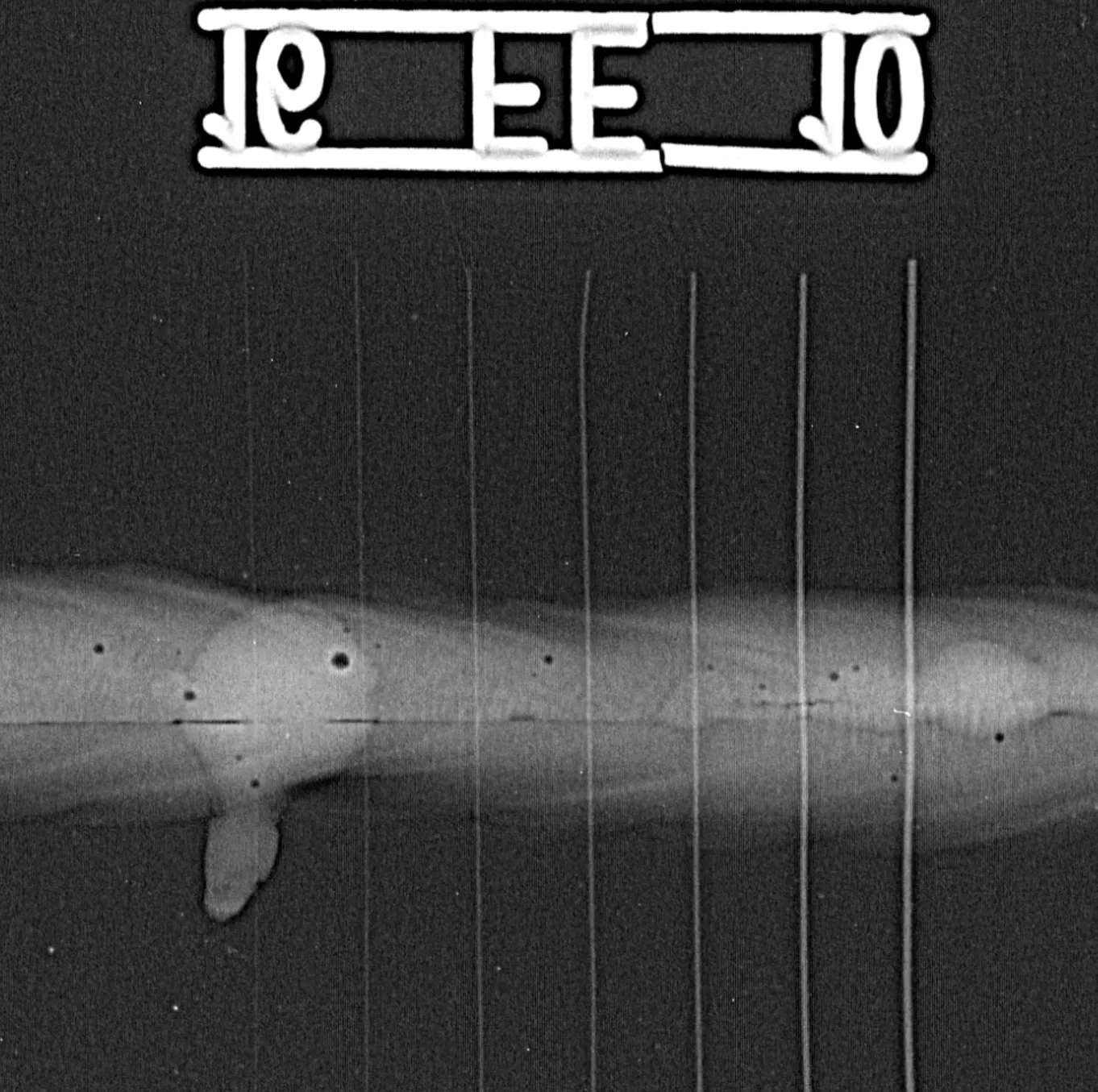 High-Capacity Computed Radiography System
