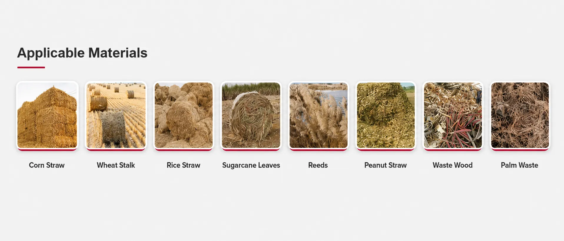 Biomass Processing System