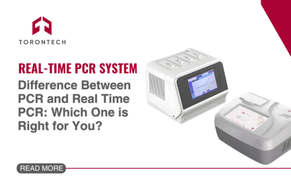 Difference Between PCR and Real Time PCR: Which One is Right for You?