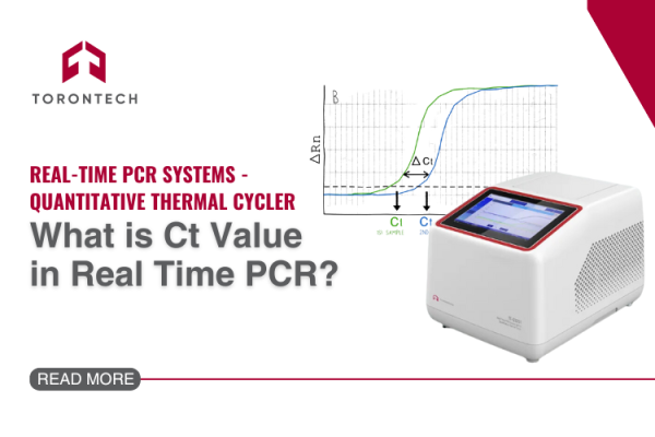 What is Ct Value in Real Time PCR?