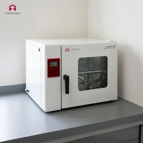 Programmable Electric Heating Incubator