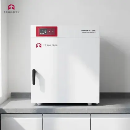 Economical Laboratory Drying Oven (300°C)