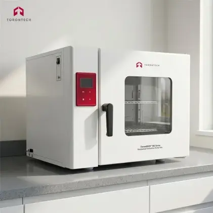 Mechanical Convection Drying Oven (250 °C)